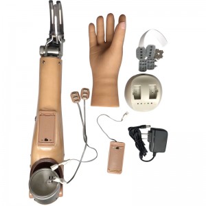 ʻO ka lima prosthetic myoelectric control me ʻekolu degere o ke kūʻokoʻa lima prosthetic no ka lima luna.