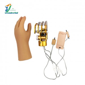 Myoelectric control prosthess هڪ درجي جي آزادي سان ٻارن جي بازو لاءِ