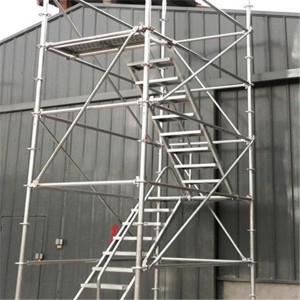 Steiger Climbing Ladder