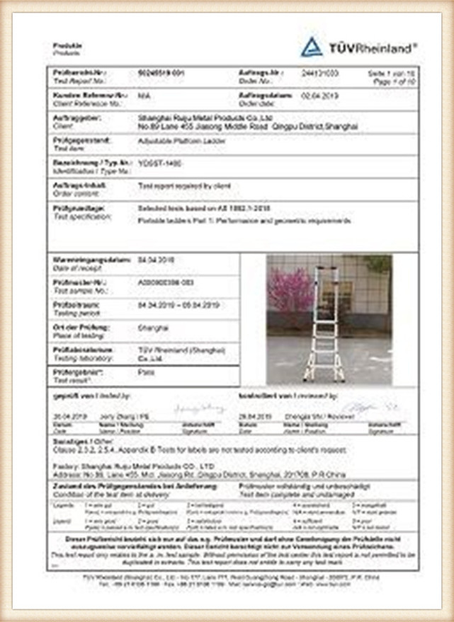 Platfoarm Ladder Test Report