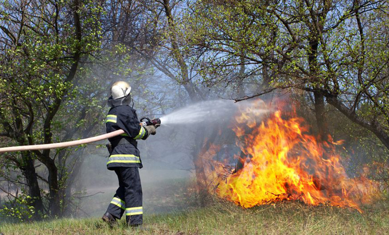 Basic methods of forest fire prevention and common sense of fire safety