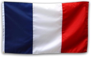 Broderie cu steagul francez imprimată pentru grădina barcă de mașină