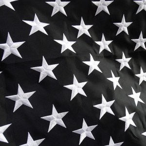 Američka vatrogasna zastava za vrt s čamcima