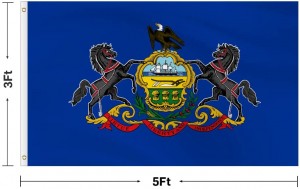 Bayrak direği Araba Tekne Bahçesi için Nakış Baskılı Pennsylvania Eyalet bayrağı