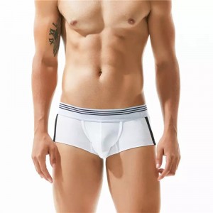 Ambongadiny Sexy Gay Lehilahy atin'akanjo Boxer Cotton Solid Men Panties U Convex Pouch Low Waist Boxers Shorts Homme