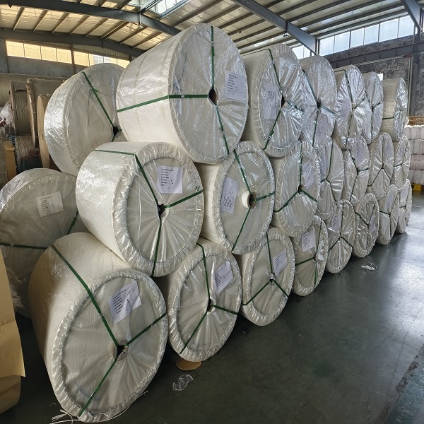 Rising Demand for PP Woven Fabric Rolls Spurs Growth in Packaging Industry
