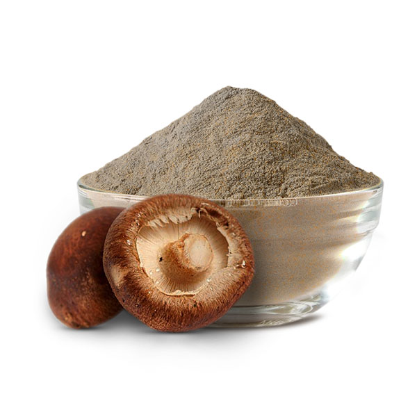 shiitake Mushroom Extract Lentinan powder 30-50% Featured Image