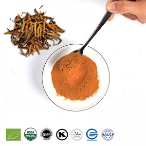 China Wholesale Coprinus Extract Factories - Cordyceps Military Extract Powder – Wuling
