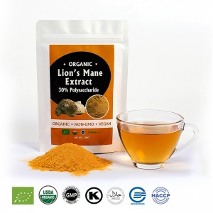 Lions Mane Mushroom Extract Powder Bag Mushroom Supplements