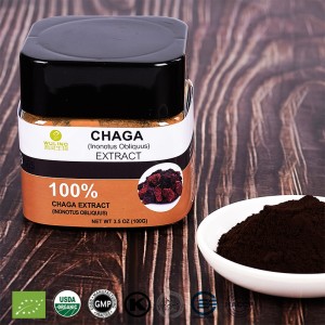 Chaga Extract Powder bottle Mushroom Supplements