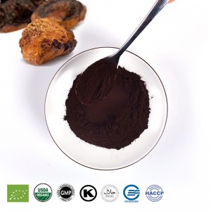 Chaga Extract Powder Bag Mushroom Supplements