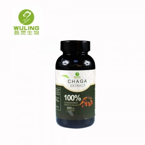 China Wholesale Reishi Mushroom Spore Oil Capsules Factories - Organic chaga Extractive Capsules – Wuling