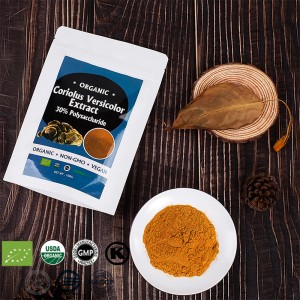 Coriolusversicolor Extract Powder Bag Mushroom Supplements