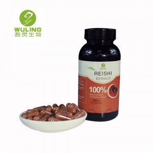 China Wholesale China Raw Reishi Mushroom P. E Manufacturers - 100% Organic Ganoderma Extract Capsules – Wuling