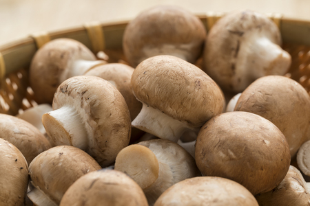 What Are Shiitake Mushrooms?