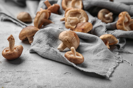 Are mushrooms good for you