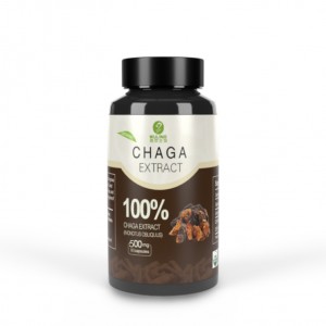 Chaga Mushroom Capsules (Two Month Supply – 90 Count) Vegan Supplement – Antioxidant and DNA Support, increased cellular health.