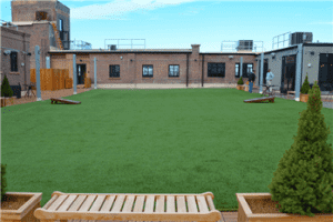 Factory directly Budget Artificial Grass - 40 mm Luxury soft  DIY artificial grass – X-Nature