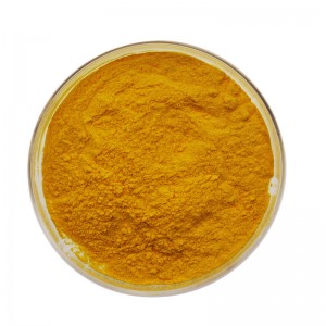 Cheap PriceList for Quercetin Sophora Japonica Extract - Tumeric Root Extract Curcumin 95% Curcuminoids USP Standard – Healthway