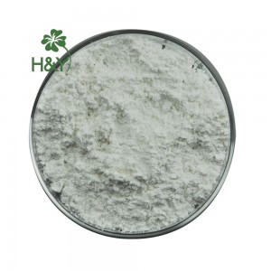 สารสกัด Andrographis Andrographolide Powder 98% HPLC