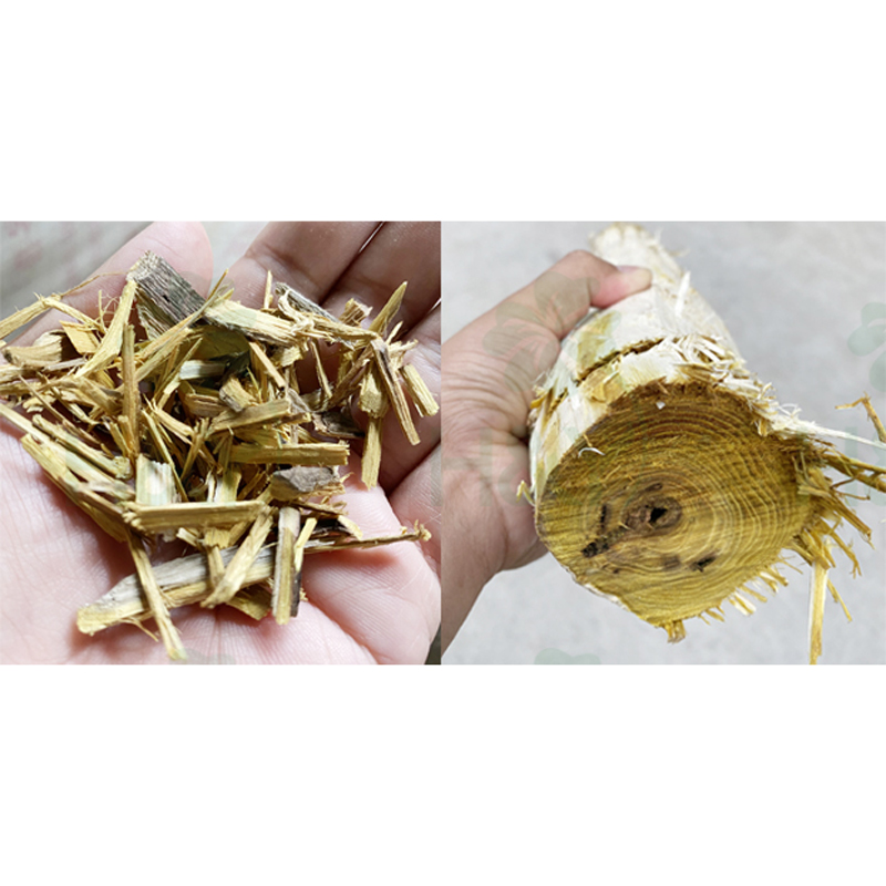 Ginseng for Your Immune System, Concentration, Heart, and Menopause