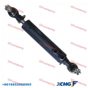 Mga Bahagi ng XCMG Crane XCMG Crane Spare Parts Steering Cylinder Assembly 137603093