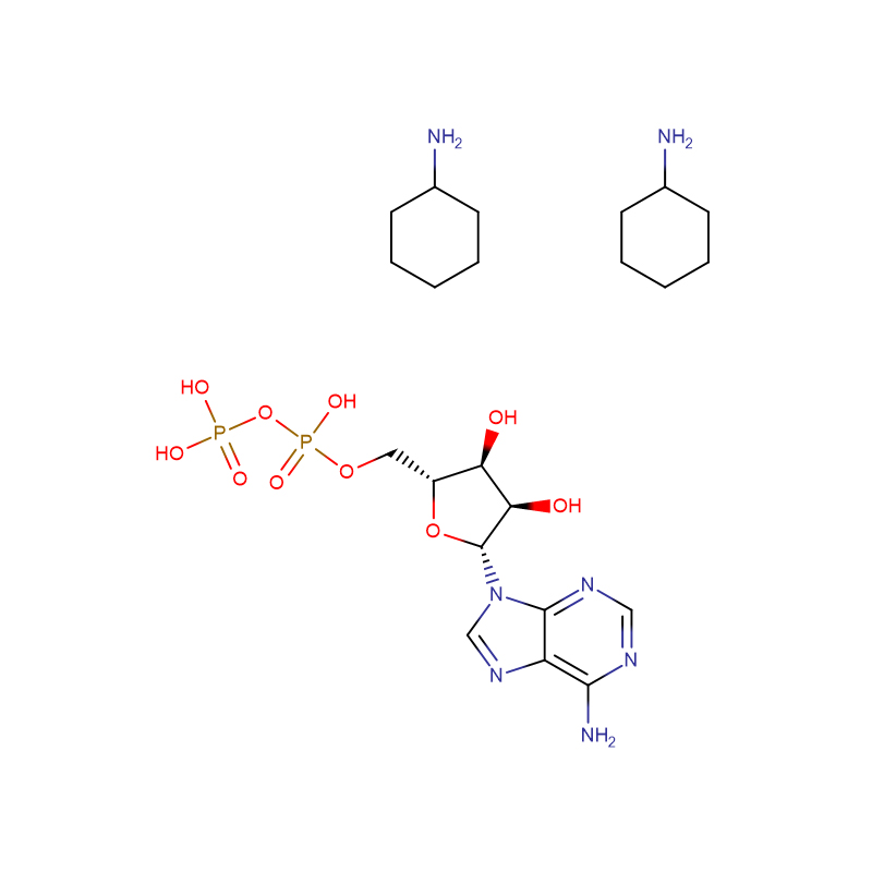 adenosien 5'-difosfaat di(monosikloheksielammonium Kas: 102029-87-8 99% Wit poeier