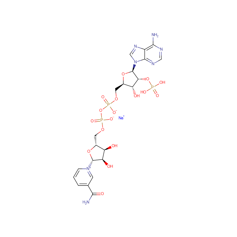 β-Nicotinamide Adenine Dinucleotid Ffosffad Monosodiwm Halen Cas: 1184-16-3
