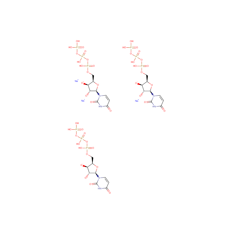 Uridine-5′-triphosphoric acid trisodium salt Cas:19817-92-6