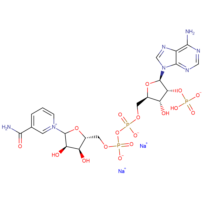 Трифосфопиридин нуклеотиди намаки динатрий Cas: 24292-60-2 Хокаи сафед