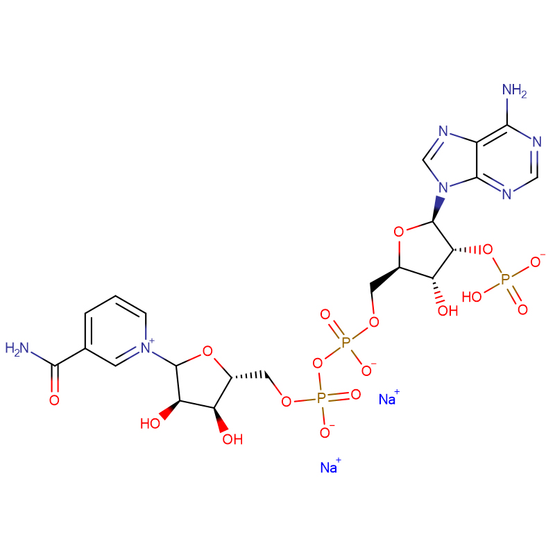 β-निकोटीनामाइड एडिनाइन डायन्यूक्लियोटाइड फॉस्फेट डिसोडियम सॉल्ट कॅस: 24292-60-2
