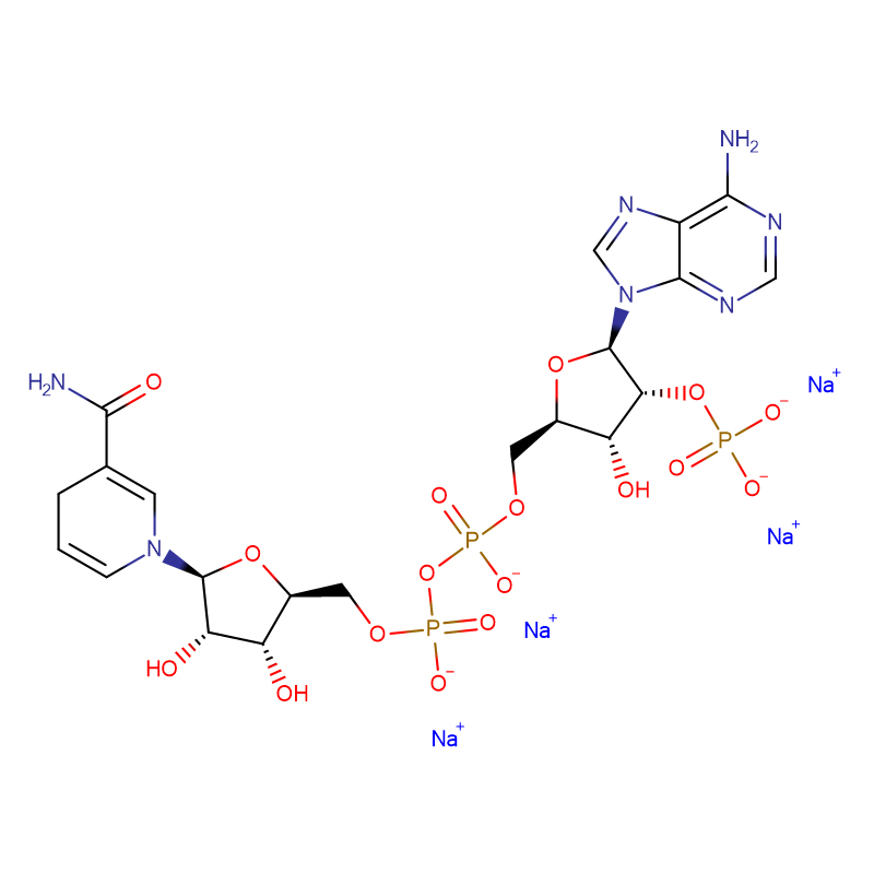 β-Nicotinamide Adenine Dinucleotide Phosphate Tetrasodium Salt, កាត់បន្ថយទម្រង់ Cas: 2646-71-1