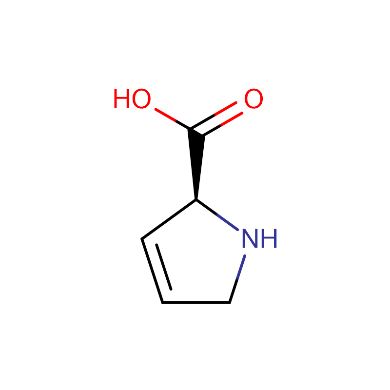 H-dehydro-Pro-OH ಕ್ಯಾಸ್: 4043-88-3