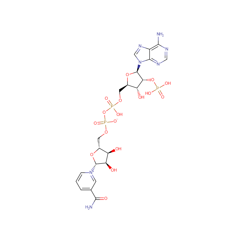 бета-никотинамид аденин динуклеотид кислотаи фосфорӣ Cas: 53-59-8