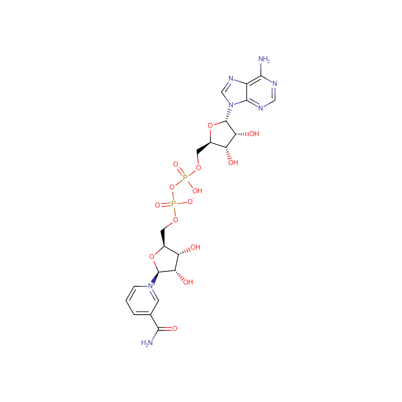 Dinukleotyd β-nikotynoamidoadeninowy