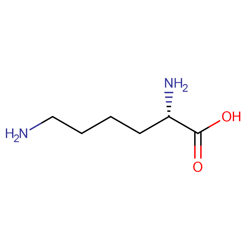 L-Lysine HCL / Base / Acetate Cas: 56-87-1