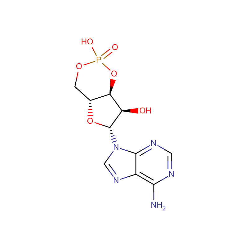 Adenosien Siklofosfaat CAS: 60-92-4 99% Wit kristalpoeier