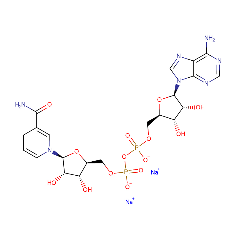 β-նիկոտինամիդ ադենին դինուկլեոտիդ, կրճատված ձև Cas: 606-68-8