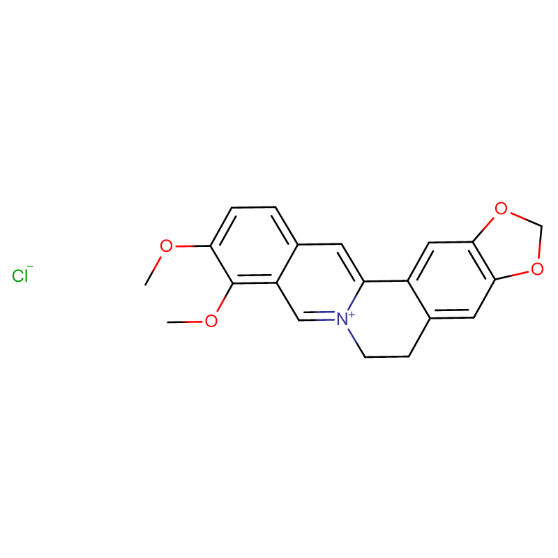 Berberin hidroklorid Cas: 633-65-8