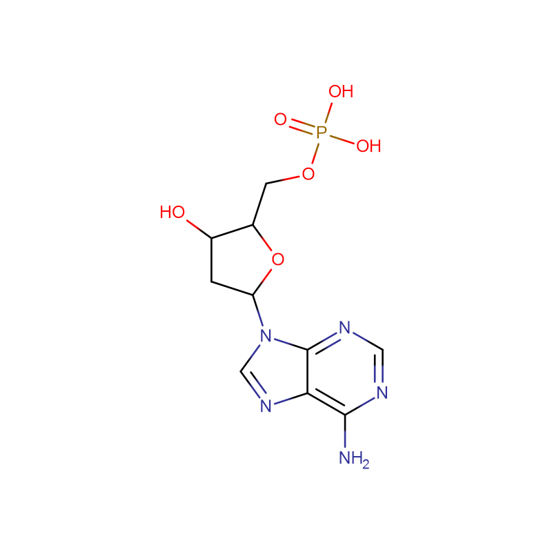 dAMP, 2'-deoksiedenosien-5'-monofosfaat, vrye suur Cas:653-63-4 2'-deoksie-5'-adenosienmonofosfaat