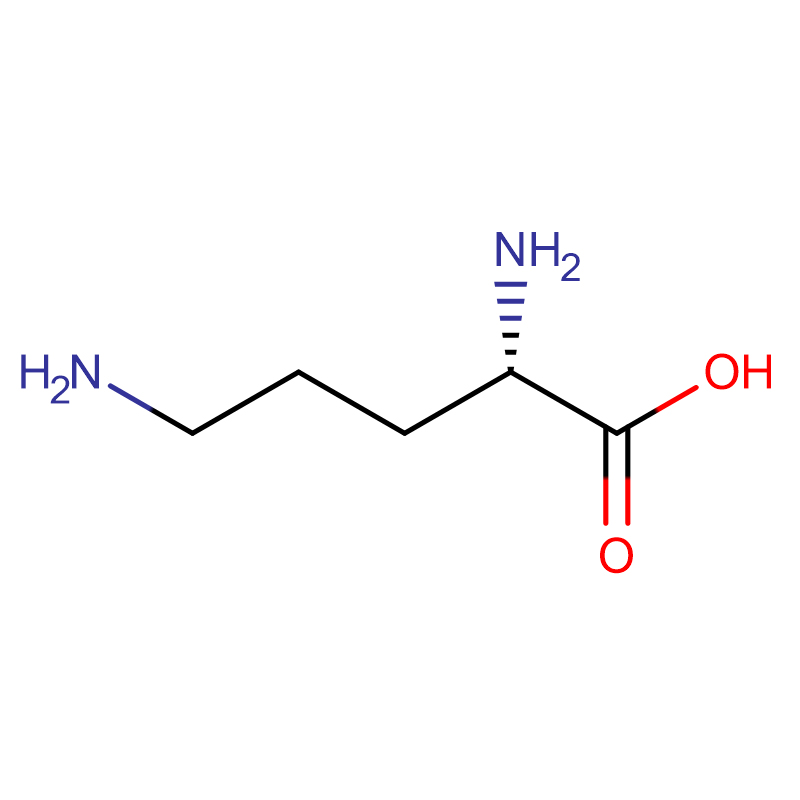 L-Ornithine HCL/Base Cas:70-26-8 Serbuk putih 99%