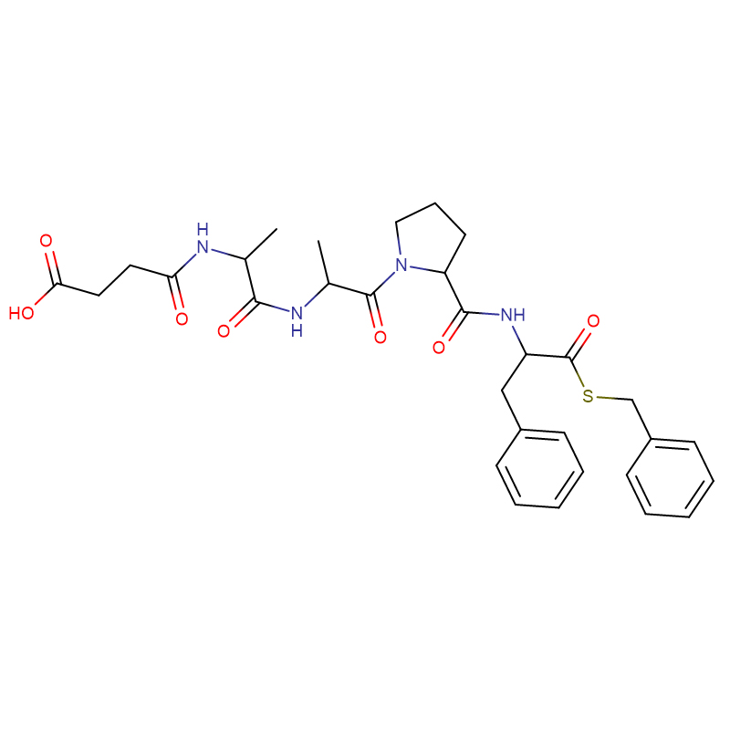 Karboxypeptidáza B CAS:9025-24-5