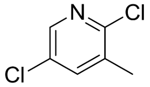 2,5-dikloro-3-metilpiridin