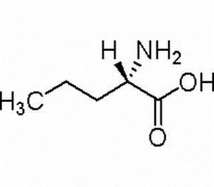 2-Amino-pentanoic asid