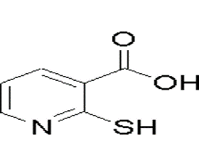 Kyselina 2-merkaptonikotínová