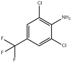 4-амино-3,5-дихлоробензотрифлуорид