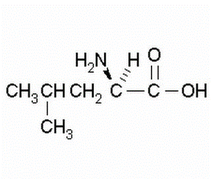 Asam D-2-Amino-4-metilpentanoat