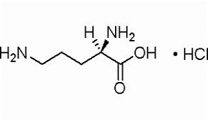 Monoclorhidrato de D-ornitina