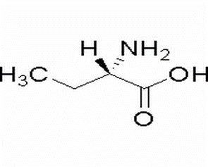 L-амінобутанова кислота