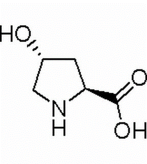L-hidroxiprolina